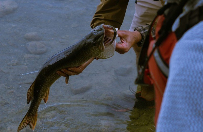 Kael paradis h z qi8ckhg unsplash