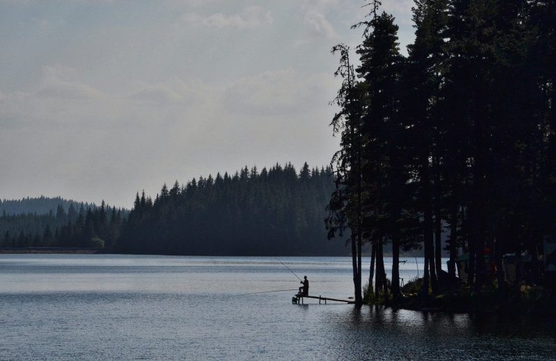 Nadia hristova wkpyj vlh s unsplash